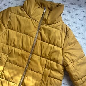 Yellow Puffer